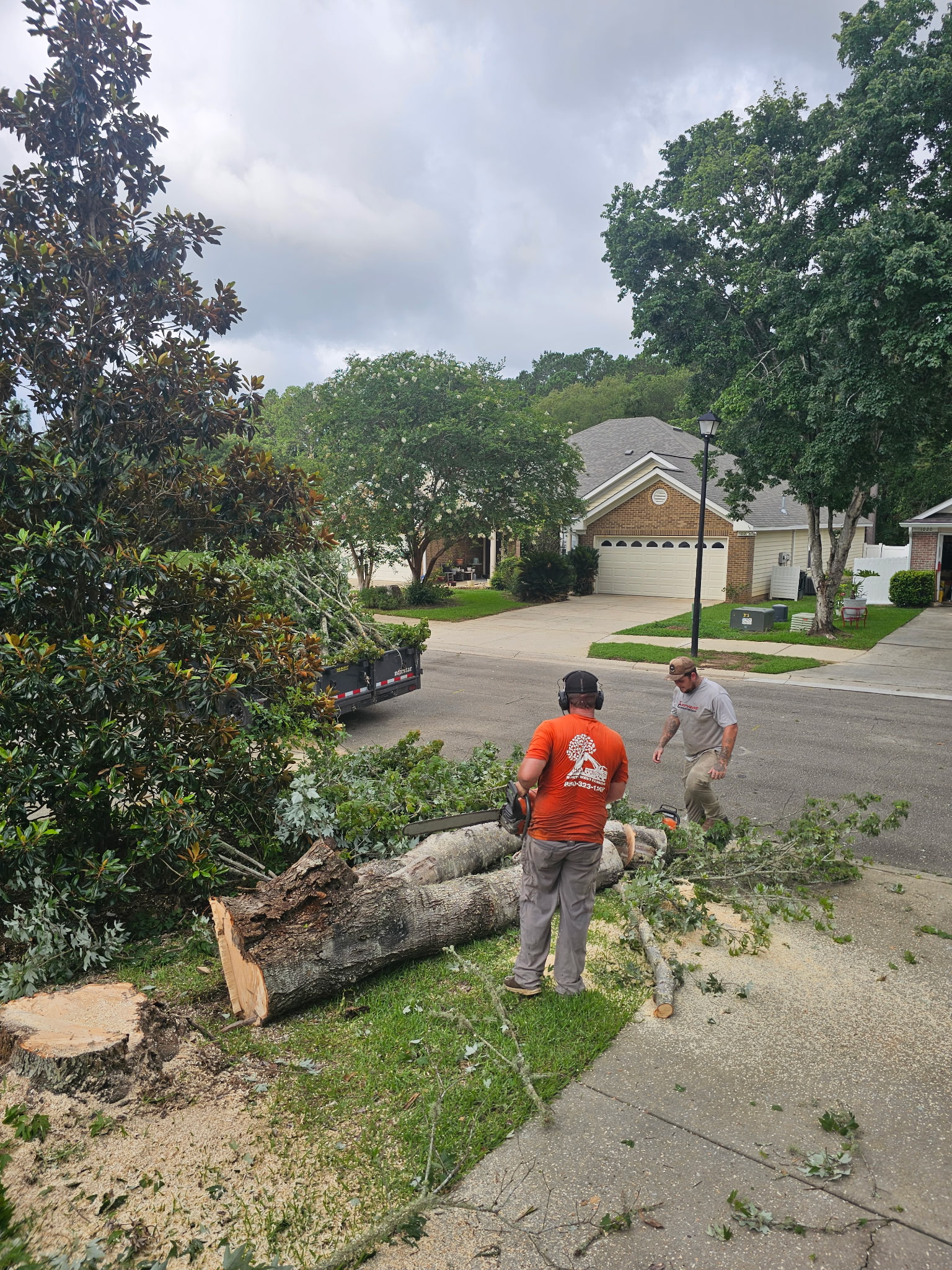 H&L crew handling a freshly cut tree section